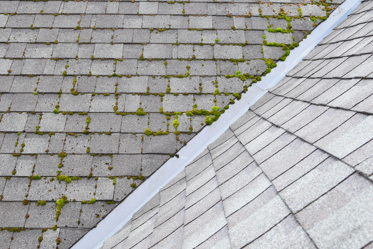 Malabar roof cleaning near me